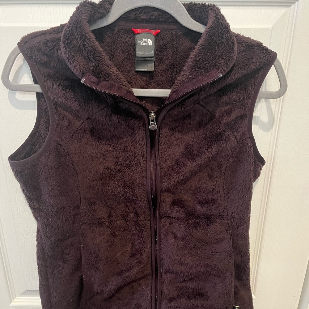 The North Face Plush Fleece Vest in Deep Plum